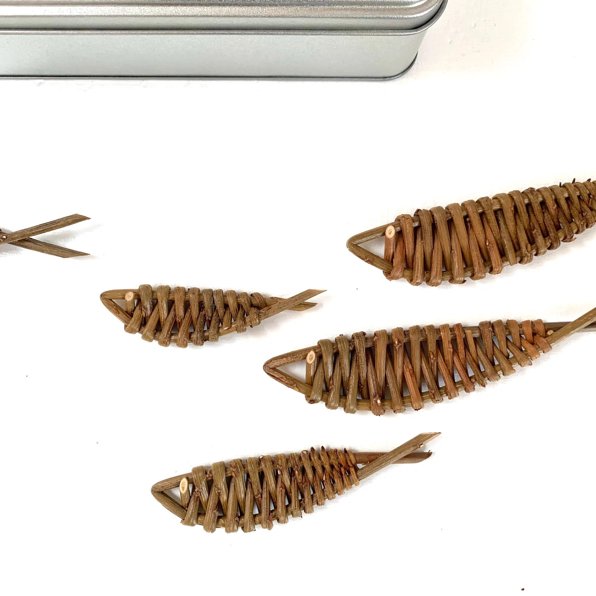 Shoal of Scilly Fish - Image 2
