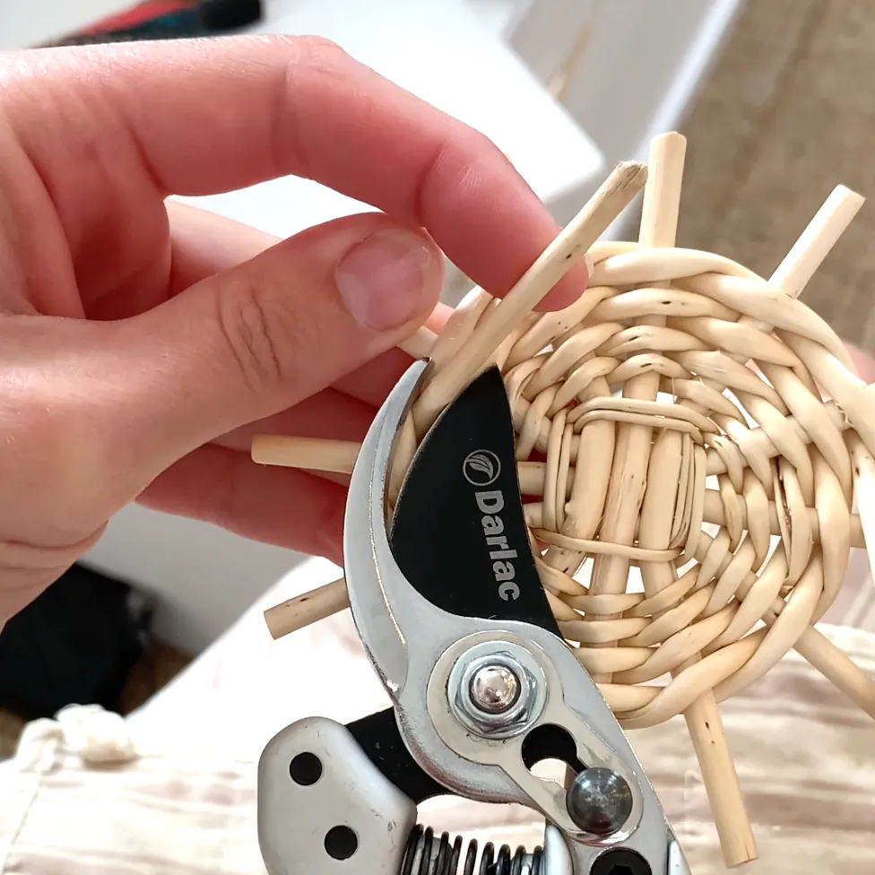 willow weaving tutorial video still showing secateurs cutting white willow