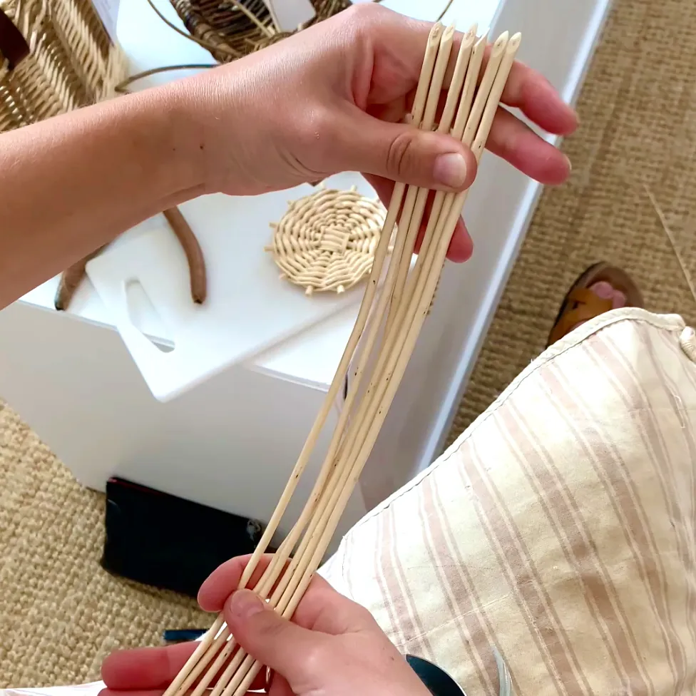willow flower video tutorial still showing Jasmine Wakeford selecting willow rods for the project